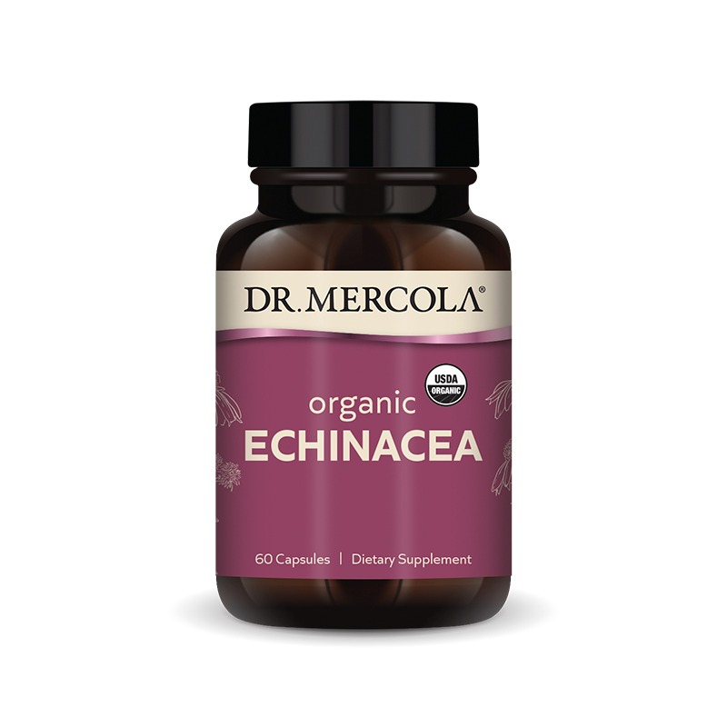 Organic Echinacea 450mg x60 Capsules - Dr. Mercola - Dr. Mercola