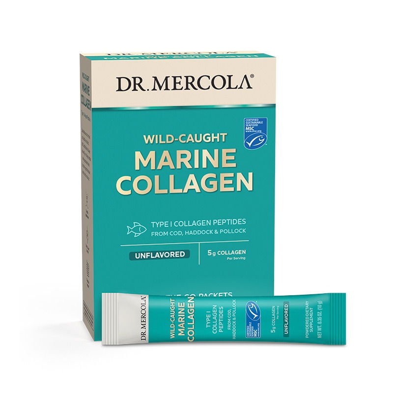 Wild Caught Marine Collagen x15 Packets - Dr. Mercola - Dr. Mercola