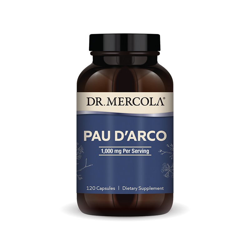 Pau D'Arco 500mg x120 Capsules - Dr. Mercola - Dr. Mercola